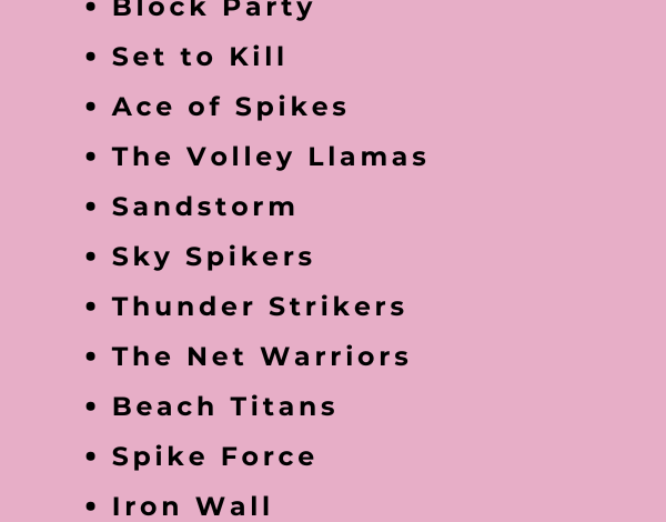 Best Volleyball Team Names for a Memorable Season